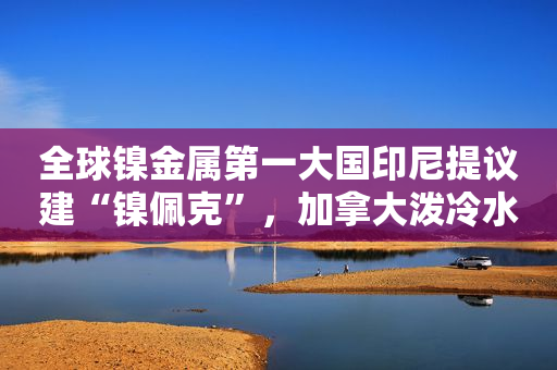 全球镍金属第一大国印尼提议建“镍佩克”，加拿大泼冷水