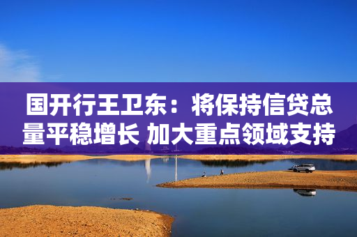 国开行王卫东：将保持信贷总量平稳增长 加大重点领域支持力度