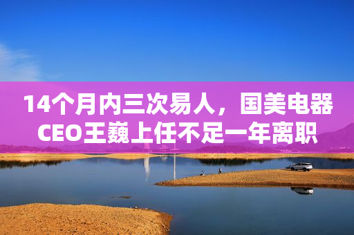 14个月内三次易人，国美电器CEO王巍上任不足一年离职