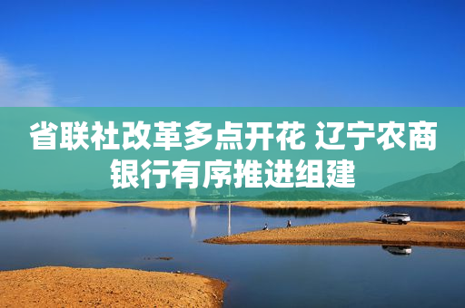 省联社改革多点开花 辽宁农商银行有序推进组建