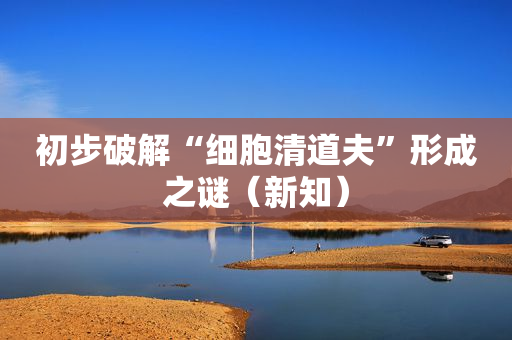 初步破解“细胞清道夫”形成之谜（新知）