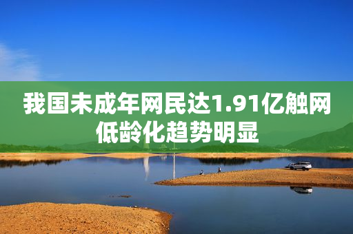 我国未成年网民达1.91亿触网低龄化趋势明显