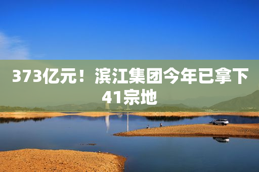 373亿元！滨江集团今年已拿下41宗地