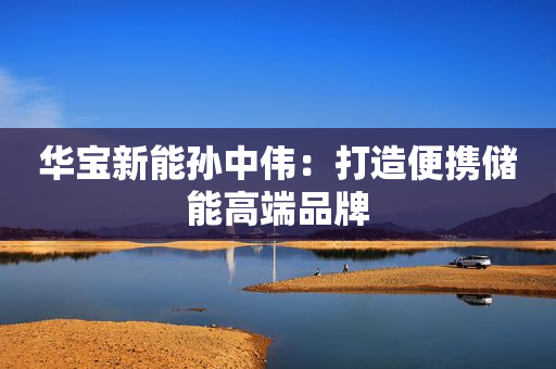 华宝新能孙中伟：打造便携储能高端品牌