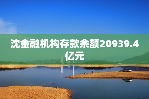 沈金融机构存款余额20939.4亿元