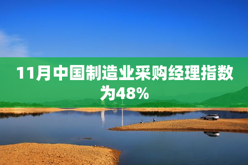 11月中国制造业采购经理指数为48%