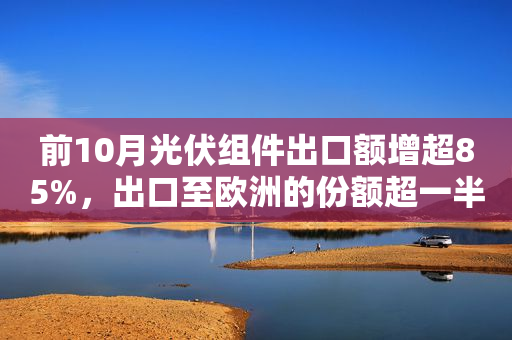 前10月光伏组件出口额增超85%，出口至欧洲的份额超一半