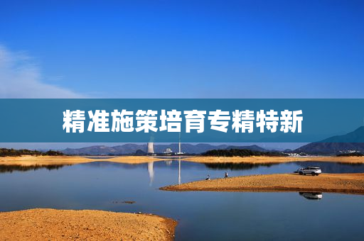 精准施策培育专精特新