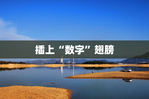 插上“数字”翅膀