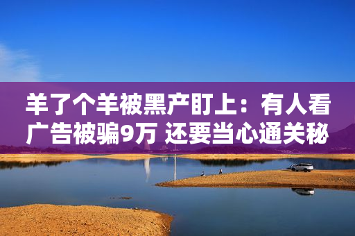 羊了个羊被黑产盯上：有人看广告被骗9万 还要当心通关秘籍骗局
