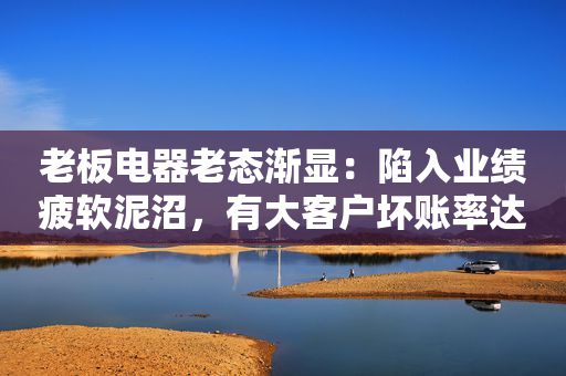 老板电器老态渐显：陷入业绩疲软泥沼，有大客户坏账率达100%