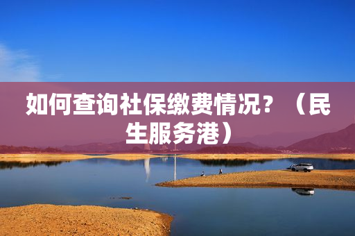 如何查询社保缴费情况？（民生服务港）