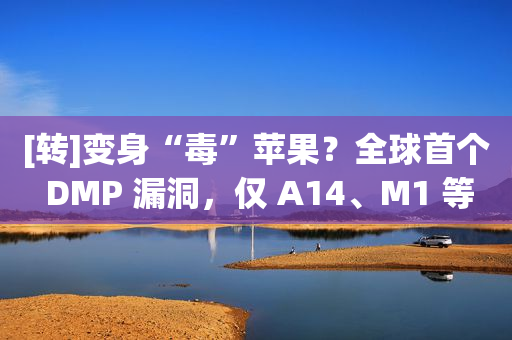 [转]变身“毒”苹果？全球首个 DMP 漏洞，仅 A14、M1 等苹果芯片独有