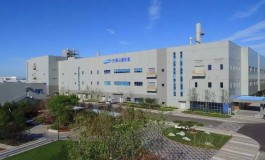 中国的投资沃土如何产生“现象级外企”