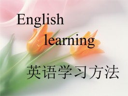 方法英语(方法英语怎么读)