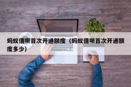 蚂蚁借呗首次开通额度（蚂蚁借呗首次开通额度多少）