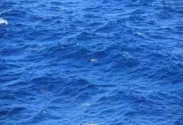 海水为什么是蓝色的(海水为什么是蓝色的？)