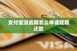 花呗逾期后怎么申请延期还款(花呗逾期了怎么申请再分期或者延期还款)