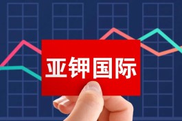 亚钾国际牵手华为发力数智化转型   聚焦主业净利连增负债率仅14.63%