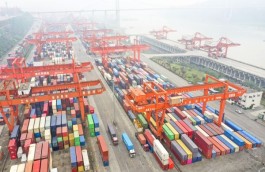 巴西经济学家：中国成为充满活力的经济中心