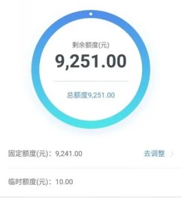 京东白条怎么用微信支付还款方式(京东白条怎么用微信还款?)