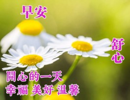 微信打招呼技巧(微信打招呼技巧幽默)
