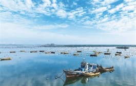 科技助力耕海忙
