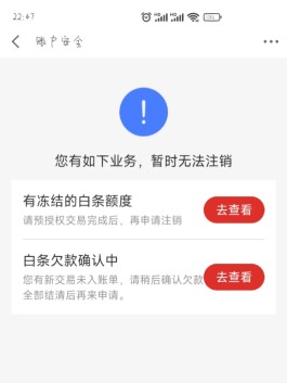 白条交易受限是什么意思(白条交易受限制是什么意思)