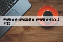 野望杜甫阅读理解及答案（野望杜甫诗歌鉴赏答案）