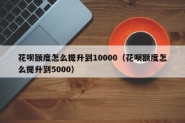 花呗额度怎么提升到10000（花呗额度怎么提升到5000）