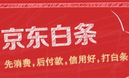 京东白条怎么自己套出来（白条自己套出来的流程）