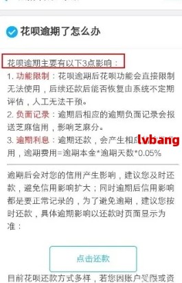 支付宝花呗1万7逾期起诉后果(支付宝花呗1万7逾期起诉后果是什么)