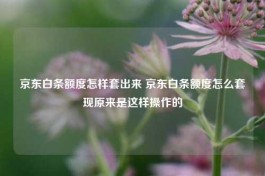 怎么把京东白条付费额度刷出来？用这十一个方式一举两得