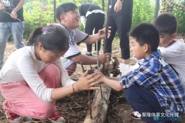 钻木取火的方法(钻木取火的方法30字)