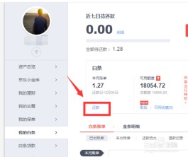 银行卡冻结京东白条怎么还款(京东白条冻结的钱,是自己存款进去的吗)