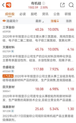 概念股集体大涨！硅料源头站上风口