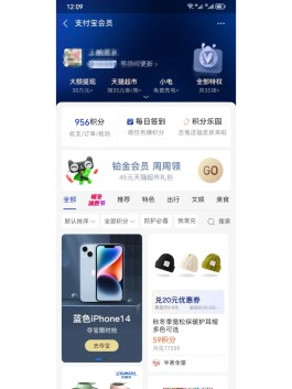 支付宝官网交易记录在哪里(支付宝官网找不到交易记录)