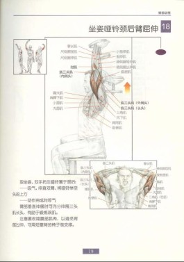 肱三头肌锻炼方法图解(肱三头肌锻炼方法图解视频)