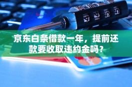 京东白条怎么提前还款(京东白条怎么延期还款)