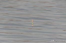 冬季钓鱼调漂技巧(冬季钓鱼怎么调鱼漂)
