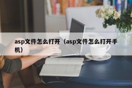 asp文件怎么打开（asp文件怎么打开手机）