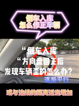 倒车入库修正技巧(倒车入库修正技巧图解)