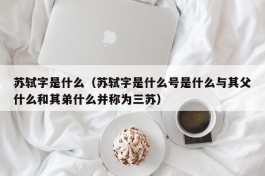 苏轼字是什么（苏轼字是什么号是什么与其父什么和其弟什么并称为三苏）
