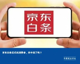 京东白条是什么意思知乎(京东白条是啥子意思)