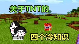 我的世界技巧(我的世界技巧)