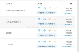 支付宝网页版使用教程(支付宝网页版登录界面)