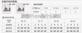 胸围怎么算罩杯(怎么知道自己胸围罩杯)