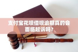 花呗逾期会被起诉吗(花呗逾期会被起诉吗?真还不上怎么办会面临坐牢吗)