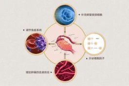 卵巢早衰的治疗方法(卵巢早衰的治疗方法南粤不孕)