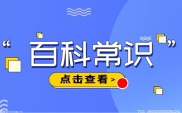 微信分付怎么提现出来（5种提现方法）